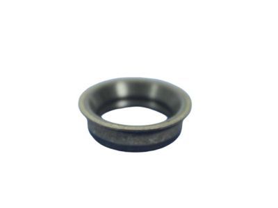 Ram 4799964AD Filter O-Ring