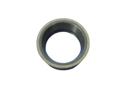 Ram 4799964AD Filter O-Ring