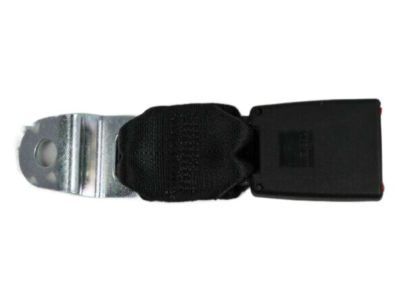 Dodge Grand Caravan Seat Belt - ZV901X9AA