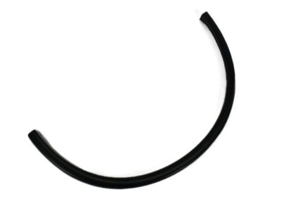 Dodge 1RK19TZZAF MOLDING Wheel Flare Quarter Panel