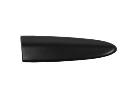 Dodge 55077166AC Side Molding