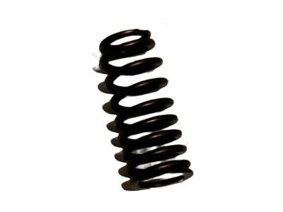 Dodge 4893172AA Valve Springs