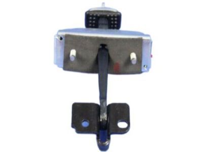 Chrysler Door Check - 4894173AD