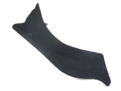 Dodge 1WS17DX9AD CARPET Insert B-Pillar