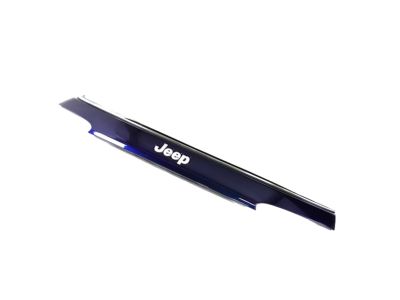 Mopar 6TE16KBXAA Applique License Lamp 6TE16KBXAA Mopar Applique License Lamp Product Photo 1 of 4