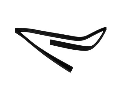 Mopar 55399190AE Weatherstrip Front Door Glass Running