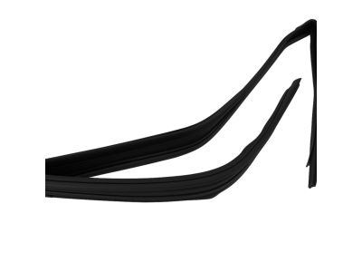 Mopar 55399190AE Weatherstrip Front Door Glass Running