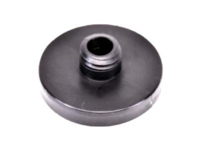 Chrysler 4512684 Door Glass Retainer