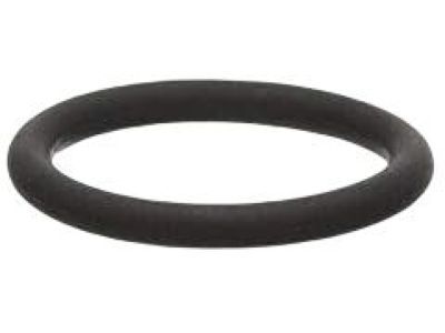 Ram Fuel Injector Seal - 68031602AA