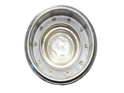 Dodge 4895439AA CAP Wheel Center