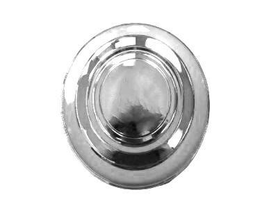 Dodge 4895439AA CAP Wheel Center