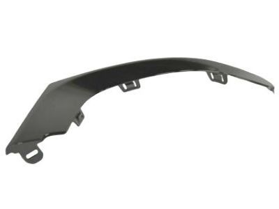 Chrysler 68203038AB Outer Molding