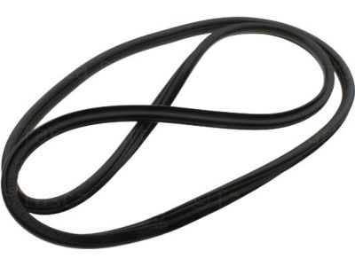 55399256AB Mopar Weatherstrip Front Door Secondary Product Photo 1 of 5