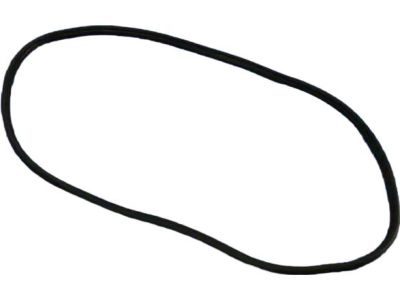 55399256AB Mopar Weatherstrip Front Door Secondary Product Photo 4 of 5