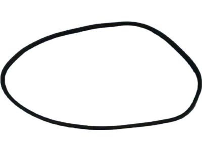 55399256AB Mopar Weatherstrip Front Door Secondary Product Photo 3 of 5