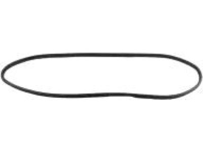 55399256AB Mopar Weatherstrip Front Door Secondary Product Photo 2 of 5