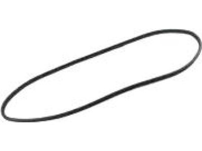 55399256AB Mopar Weatherstrip Front Door Secondary Product Photo 5 of 5