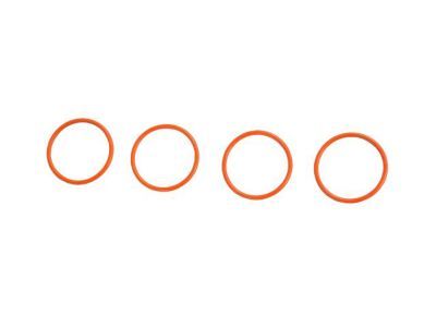 Jeep 68217337AA O-RING PCV Valve