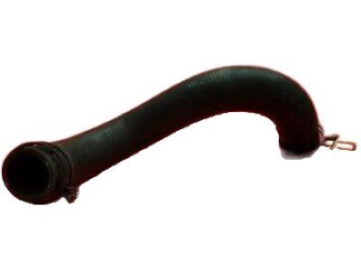 Dodge Charger Radiator Hose - 55038161AD