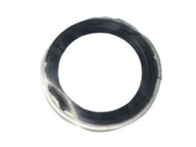 Ram 68162517AA SEAL Ring