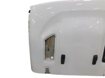 Jeep 68281965AE HOOD