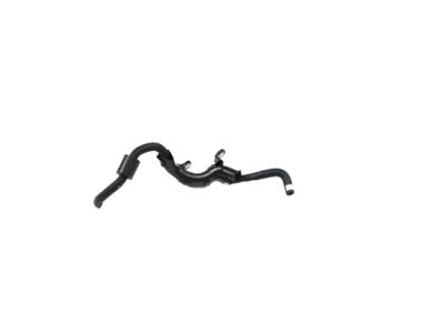 Mopar 68003484AB Hose Fuel Filter Rubber Hose Off Injection Pump