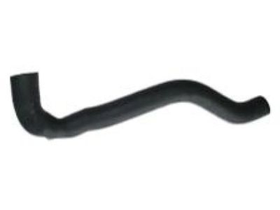 Jeep Wrangler Radiator Hose - 52003911