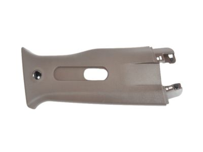 Mopar 5VW42GTVAA Molding B Pillar