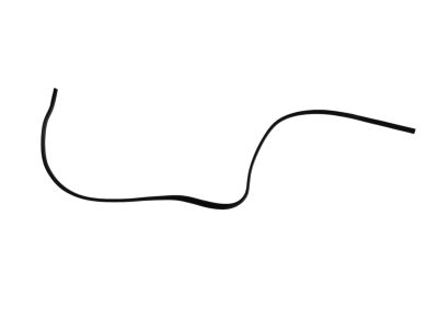 Mopar 5113660AA Molding Roof