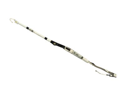 Mopar 68250178AC Air Bag Side Curtain