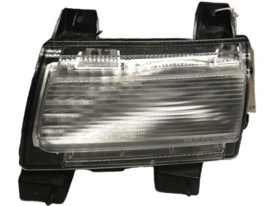 Mopar 68307245AF Lamp Parking And Turn Signal