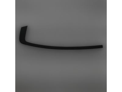 Mopar 57010507AE Molding Rear Door Mopar 57010507AE Molding Rear Door