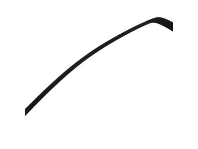 Mopar 57010507AE Molding Rear Door