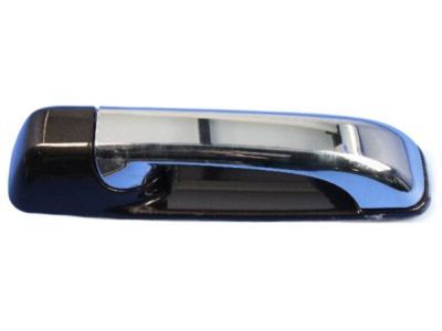 Ram 1GH261TWAE HANDLE Exterior Door