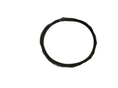 Dodge 5217904 FILTER, Fuel Pump Module