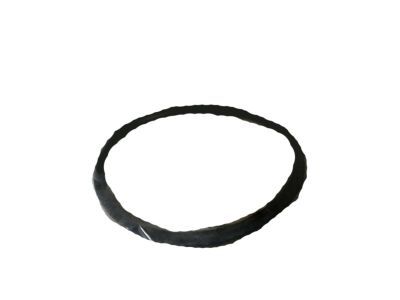 Dodge 5217904 FILTER, Fuel Pump Module