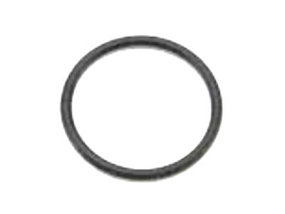 Dodge WQ05BD1AA Grip Handle Plug