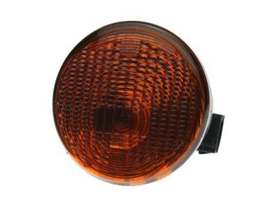 Jeep 55077885AC LAMP Park and Turn Signal