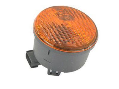 Jeep 55077885AC LAMP Park and Turn Signal