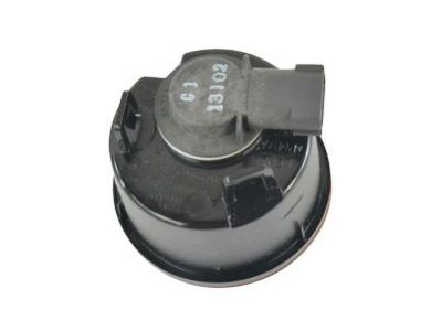 Jeep 55077885AC LAMP Park and Turn Signal