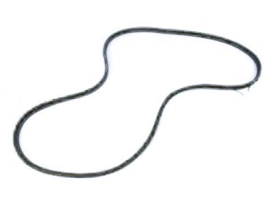 Ram ProMaster EV Door Seal - 68465082AA