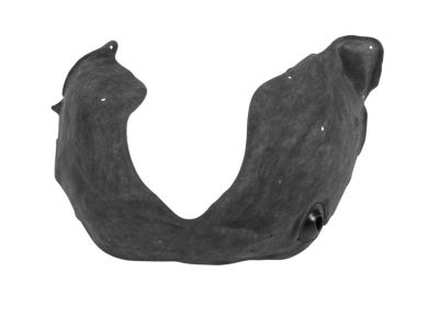 Mopar 55079292AF Silencer Wheelhouse Inner Front