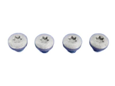 Ram 68206097AA Lock Cylinder Screw