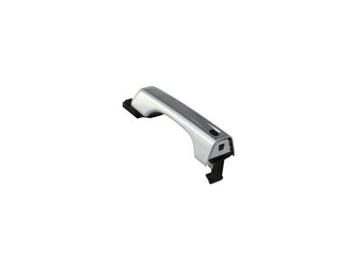 6ZA12JSCAA Mopar Handle Exterior Door Product Photo 1 of 4