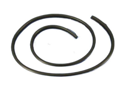 Mopar 5076862AD Weatherstrip Front Door Opening