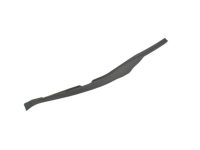 Chrysler 68188807AA SEAL Rear Door