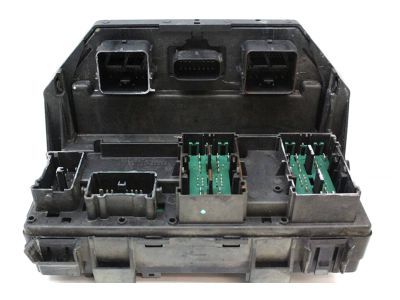 Ram 68289076AA LAMP Turn Signal