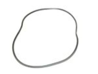 Dodge 1JY42DX9AA Lace