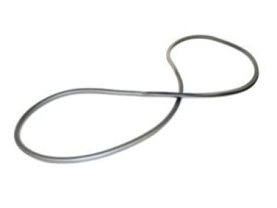 Dodge 1JY42DX9AA Lace