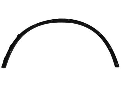 Dodge 1RK20TZZAC MOLDING Wheel Opening Flare